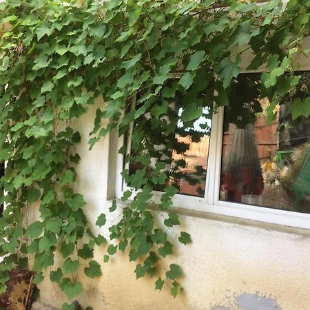Casa Cu Curte Hotel Brasov Bagian luar foto